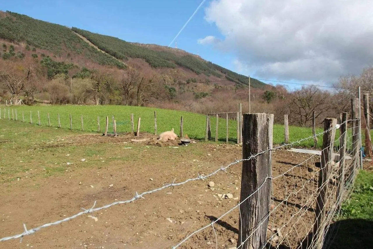 Apartamentos Rurales Patxillaborda Ipar Lezo 0*,  Španělsko